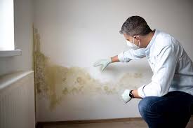 Mold Remediation for Vacation Homes in Jacksonville, TX